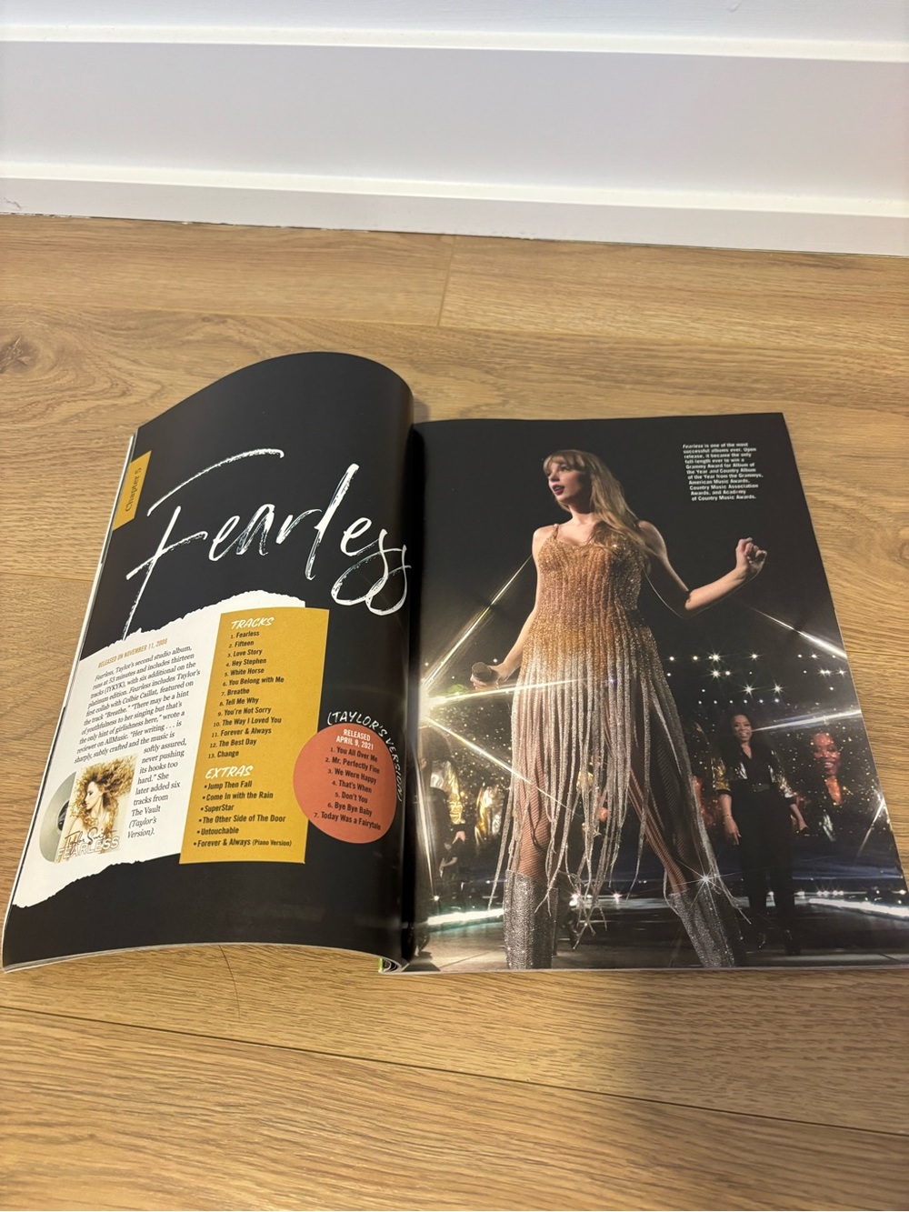 Taylor Swift Fanbook Collection - Picture 9 of 10